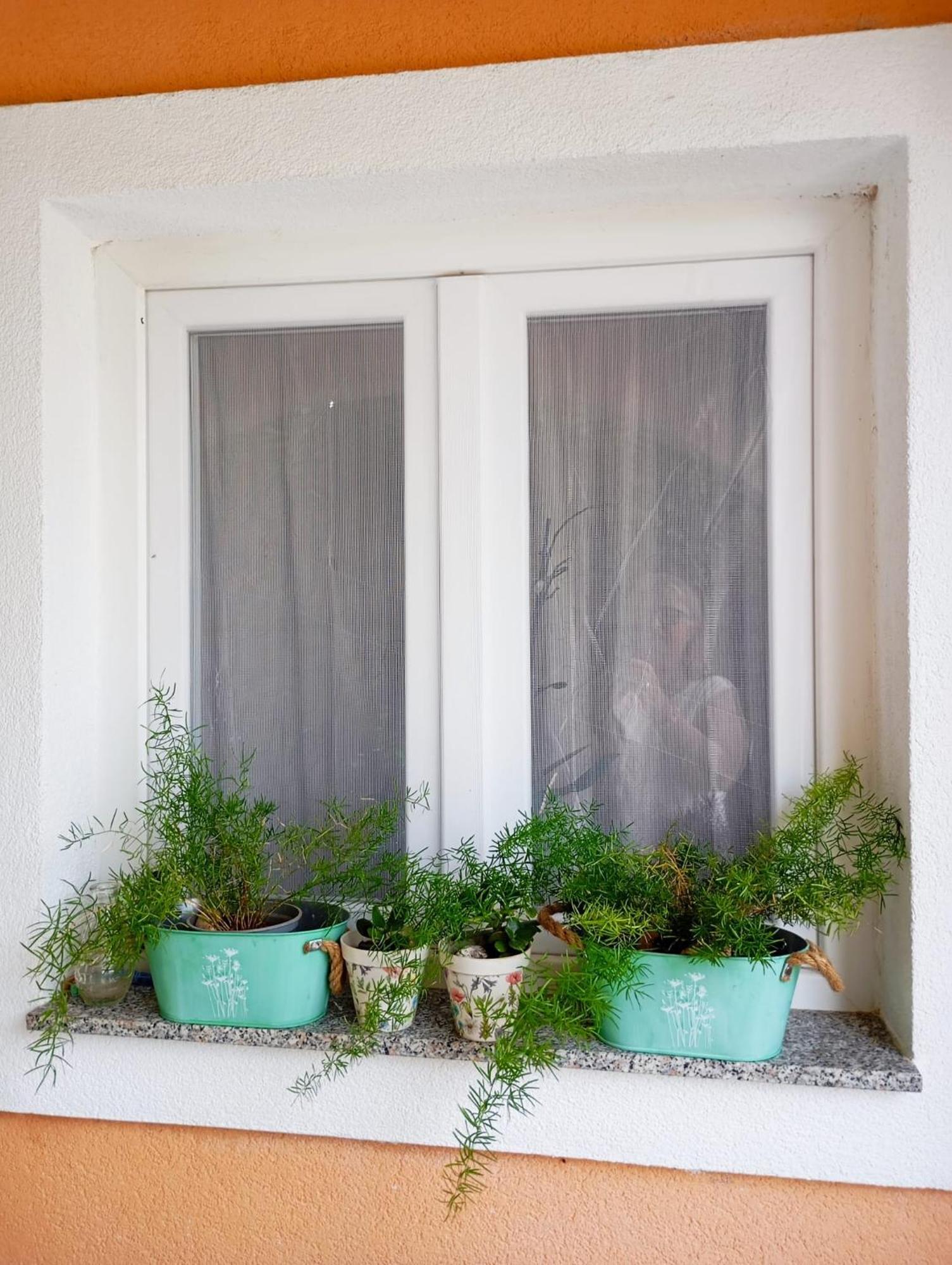 Apartmani Joja Biograd Na Moru Extérieur photo