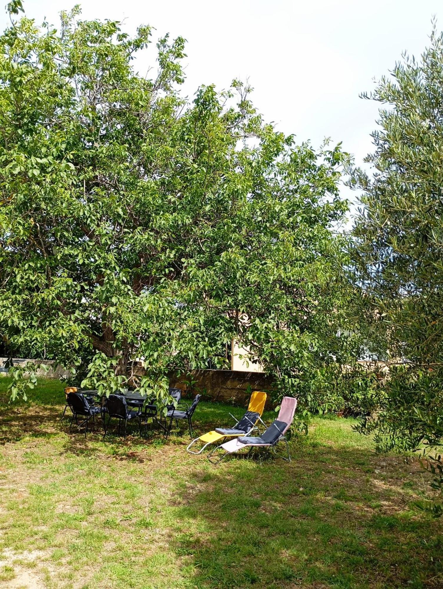 Apartmani Joja Biograd Na Moru Extérieur photo